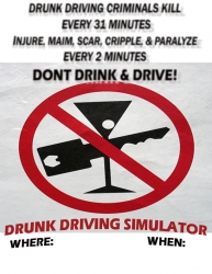 dd_simulator_poster2